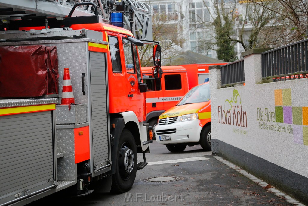 Einsatz BF Flora Botanischer Garten Mobile Arbeitsbuehne in Schraeglage P05.JPG